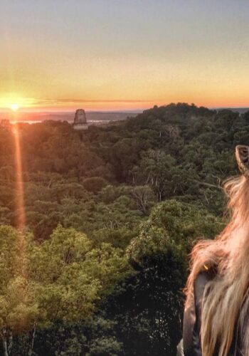 TIKAL AMANECER GRUPAL DESDE FLORES