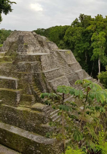 yaxha-tour-grupal